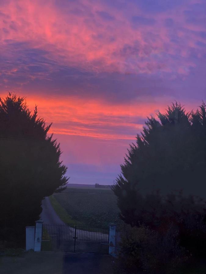 Bois De Crane Villa Landes-le-Gaulois ภายนอก รูปภาพ