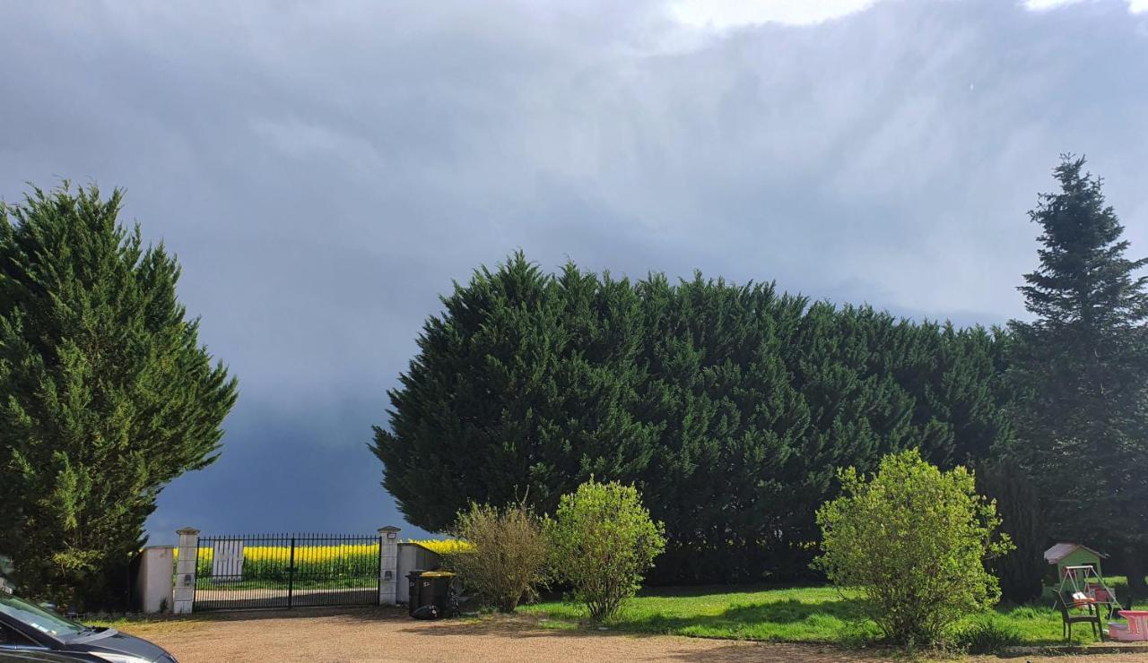 Bois De Crane Villa Landes-le-Gaulois ภายนอก รูปภาพ